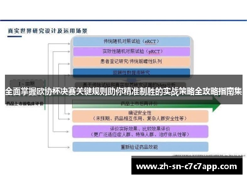 全面掌握欧协杯决赛关键规则助你精准制胜的实战策略全攻略指南集