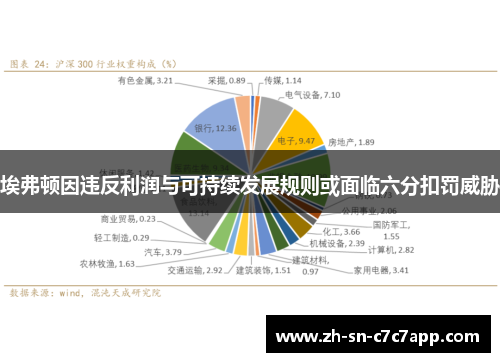 埃弗顿因违反利润与可持续发展规则或面临六分扣罚威胁 埃弗顿因违反利润与可持续发展规则或面临六分扣罚威胁