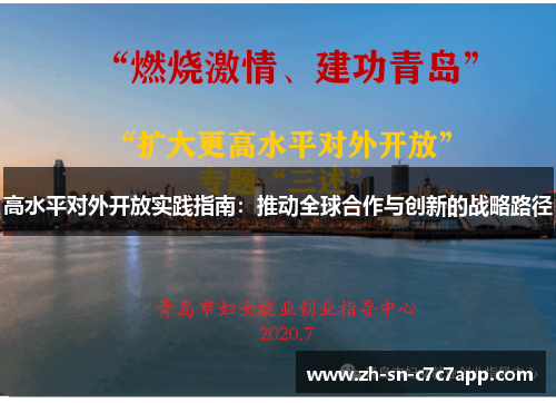 高水平对外开放实践指南:推动全球合作与创新的战略路径 高水平对外开放实践指南:推动全球合作与创新的战略路径