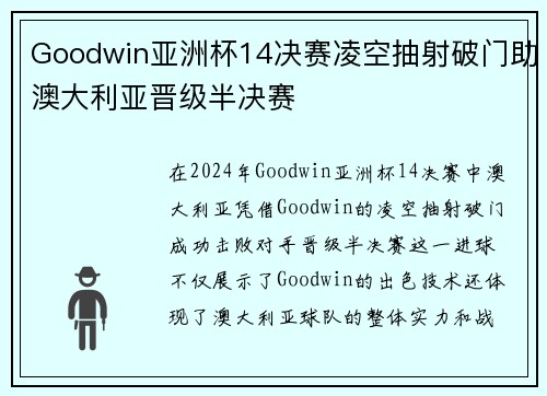 Goodwin亚洲杯14决赛凌空抽射破门助澳大利亚晋级半决赛