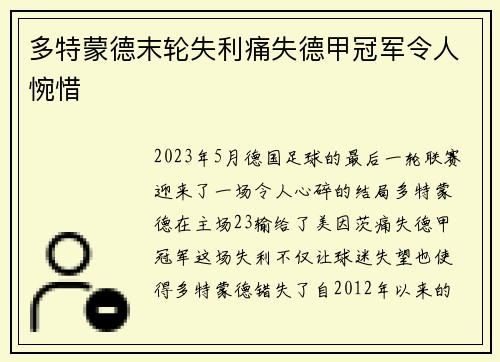 多特蒙德末轮失利痛失德甲冠军令人惋惜 多特蒙德末轮失利痛失德甲冠军令人惋惜
