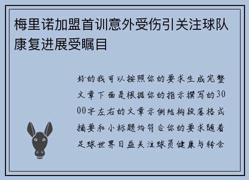 梅里诺加盟首训意外受伤引关注球队康复进展受瞩目 梅里诺加盟首训意外受伤引关注球队康复进展受瞩目